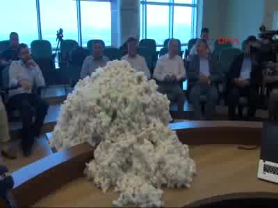 Şanlıurfa'nın ilk pamuğu 32 liradan satıldı