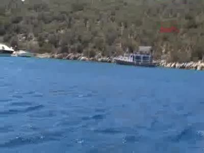Bodrum'daki koyda, 6 saatlik caretta caretta incelemesi - 1
