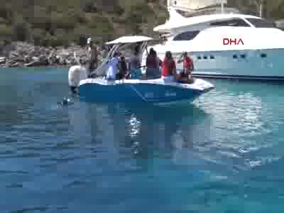 Bodrum'daki koyda, 6 saatlik caretta caretta incelemesi - 3