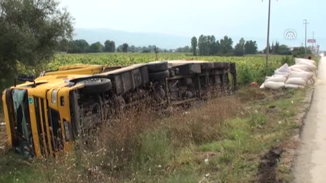 Bursa'da kurbanlık yüklü TIR devrildi: 2 yaralı