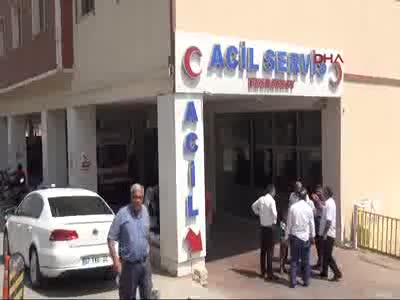 Şanlıurfa'da fıstık hasadında kavga: 6 yaralı