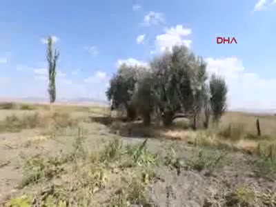 4'üncü Ana Jet Üssü yakınlarında içi dolar dolu çanta bulundu - 2