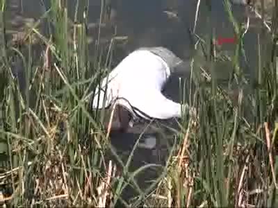 21 yaşındaki gencin cesedi gölette bulundu