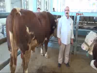 Denizli'nin paşası alıcı bekliyor