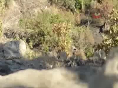 Silopi'de PKK'nın 10 ton bomba yüklü kamyonu imha edildi