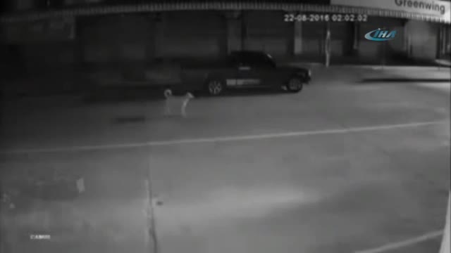 Genç kadın neye uğradığını şaşırdı!