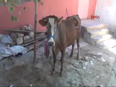 Kurban keserken kalp krizi geçiren kişi öldü