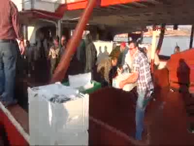Tekneler, 1 saat içerisinde balık dolu döndü