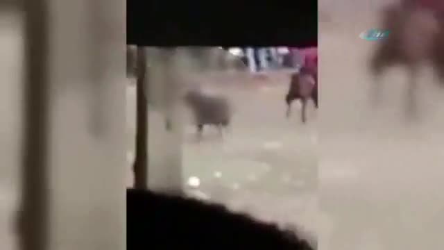 Arenada korkunç ölüm!