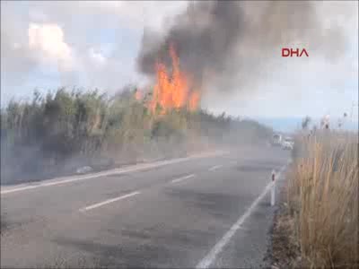 Sazlık yangını sürücülere zor anlar yaşattı