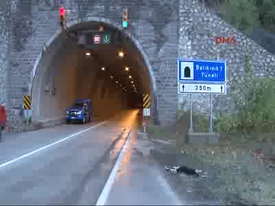 Karabük'te 2 otomobil çarpıştı: 1 ölü, 1 yaralı