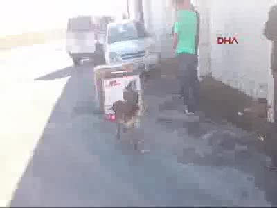Kompresörlerin içinden esrar çıktı