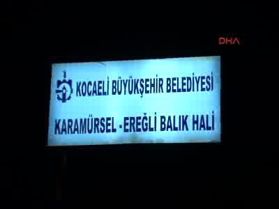Marmara'da palamut ve hamsi bolluğu