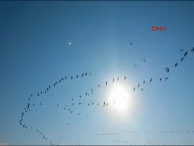 Göç yolundaki ışık UFO mu?