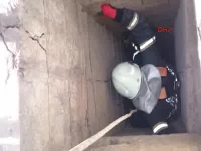 Kuyuya düşen yavru kediyi itfaiye kurtardı