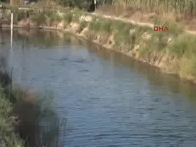 Toprak havuzda panga balığı üretimine başladılar