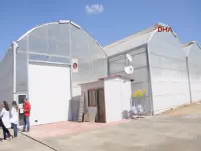 Azeri yatırımcı Germencik'e sera kurdu