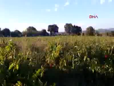 Yılan görünce konuşma yetisini yitirdi