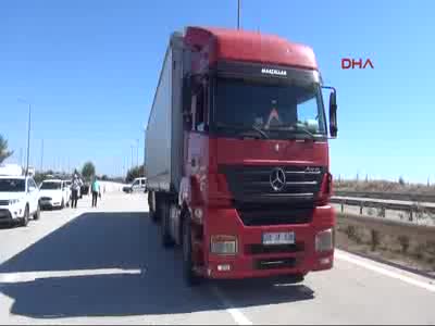 Adana'da bir TIR'dan 35 at çıktı