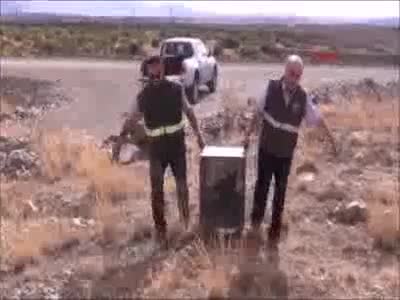 Tedavileri tamamlanan kurtlar yeniden doğaya bırakıldı