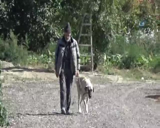 Bursa'da evini hayvanat bahçesine çevirdi