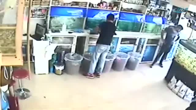 Petshoptan hırsızlık güvenlik kamerasında