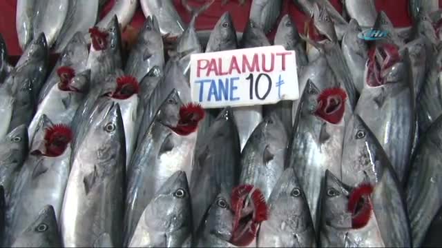Palamutta tehlike çanları çalıyor