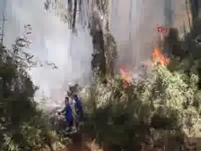 Marmaris'te orman yangını