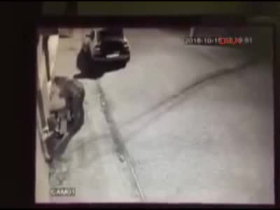Aydın'da tartışılacak olay... Köpek tasması taktı