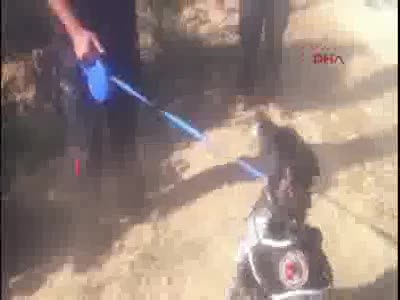 Kayıp Irmak için arama çalışmalarına tekrar başlandı