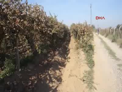 Kayıp Irmak için arama çalışmalarına tekrar başlandı - 2