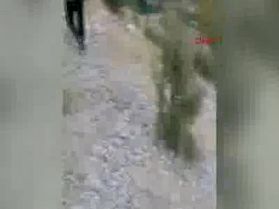 Kayıp Bahar'ın bulunması için Van'dan arama köpekleri getirildi