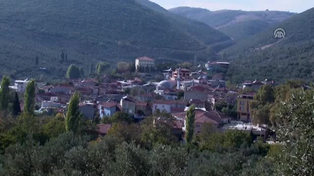 60 ilçe üretiyor Bursa turşusunu kuruyor