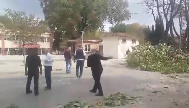 Bursa'da şiddetli fırtına ağaçları devirdi