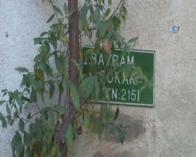 Bursa'da bebek firarda!