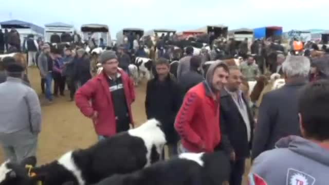 Besiciler dolarları ateşe verdi