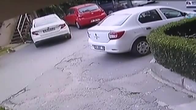 Mahallelinin korkulu rüyası haline geldi!