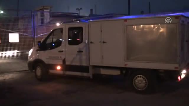 Bursa İnegöl'de yavru ayılara TIR çarptı