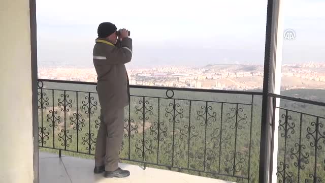 Bursa'da yılbaşı için "emanet çam fidanı" kampanyası