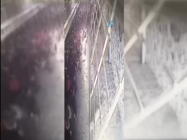 Tavuklar kümese giren tilkiyi kovaladı