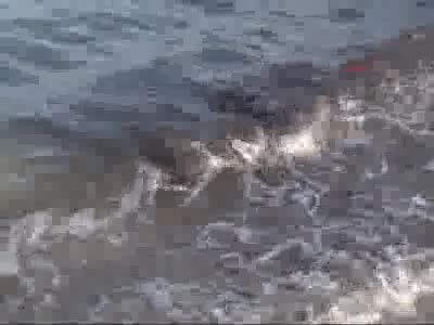 Çeşme plajlarında temizlik 2 ay sürecek
