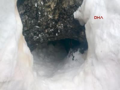 TSK'dan Siirt'te operasyon