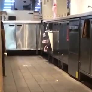 Dünyaca ünlü fast food zincirinde 'fare skandalı'