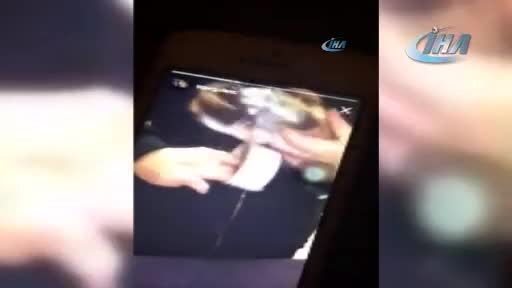 Kediye bantlı işkence