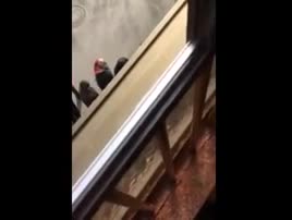 Reina saldırganına benziyor diye linç ettiler!