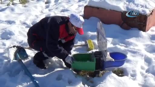 Çankırı'da sokak hayvanları aç ve susuz kalmıyor