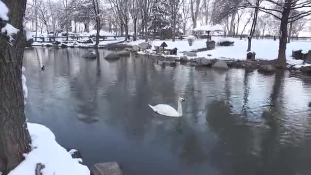 Bursa'da Botanik parkta kar keyfi