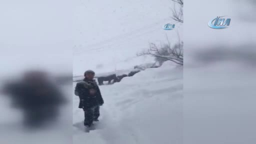Atlar kar yağışı altında ölüme terk edildi