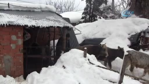 Bursa'da kar kütlesine dayanamayan dam çöktü