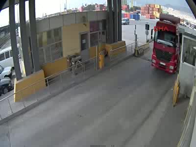Limanda akıl almaz dolandırıcılık: 48 dana çalındı